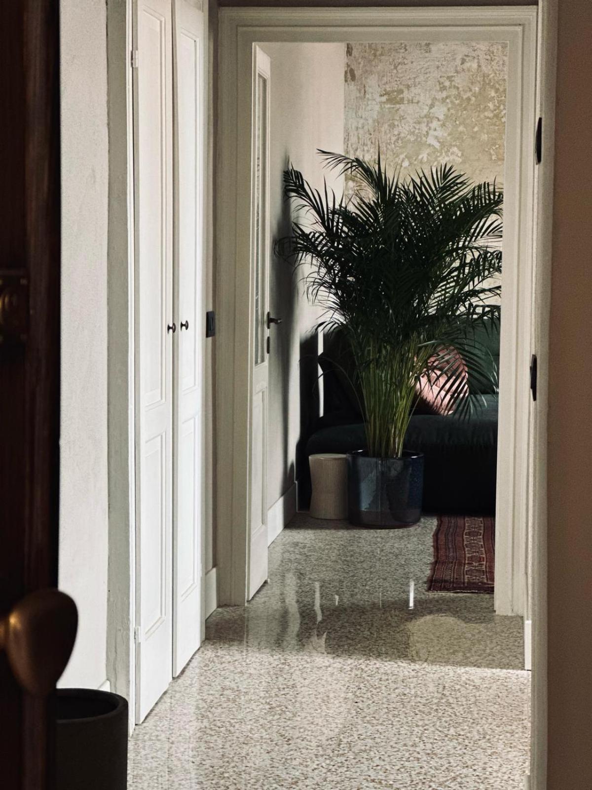 Room Manzoni 37 كريمونا المظهر الخارجي الصورة