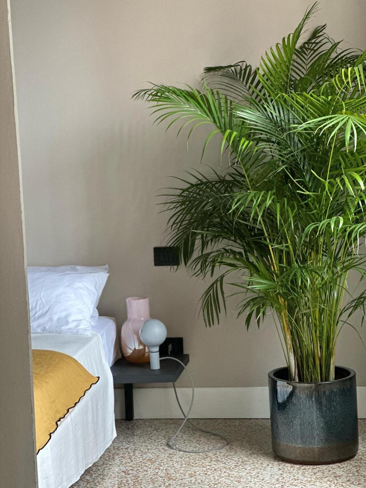 Room Manzoni 37 كريمونا المظهر الخارجي الصورة