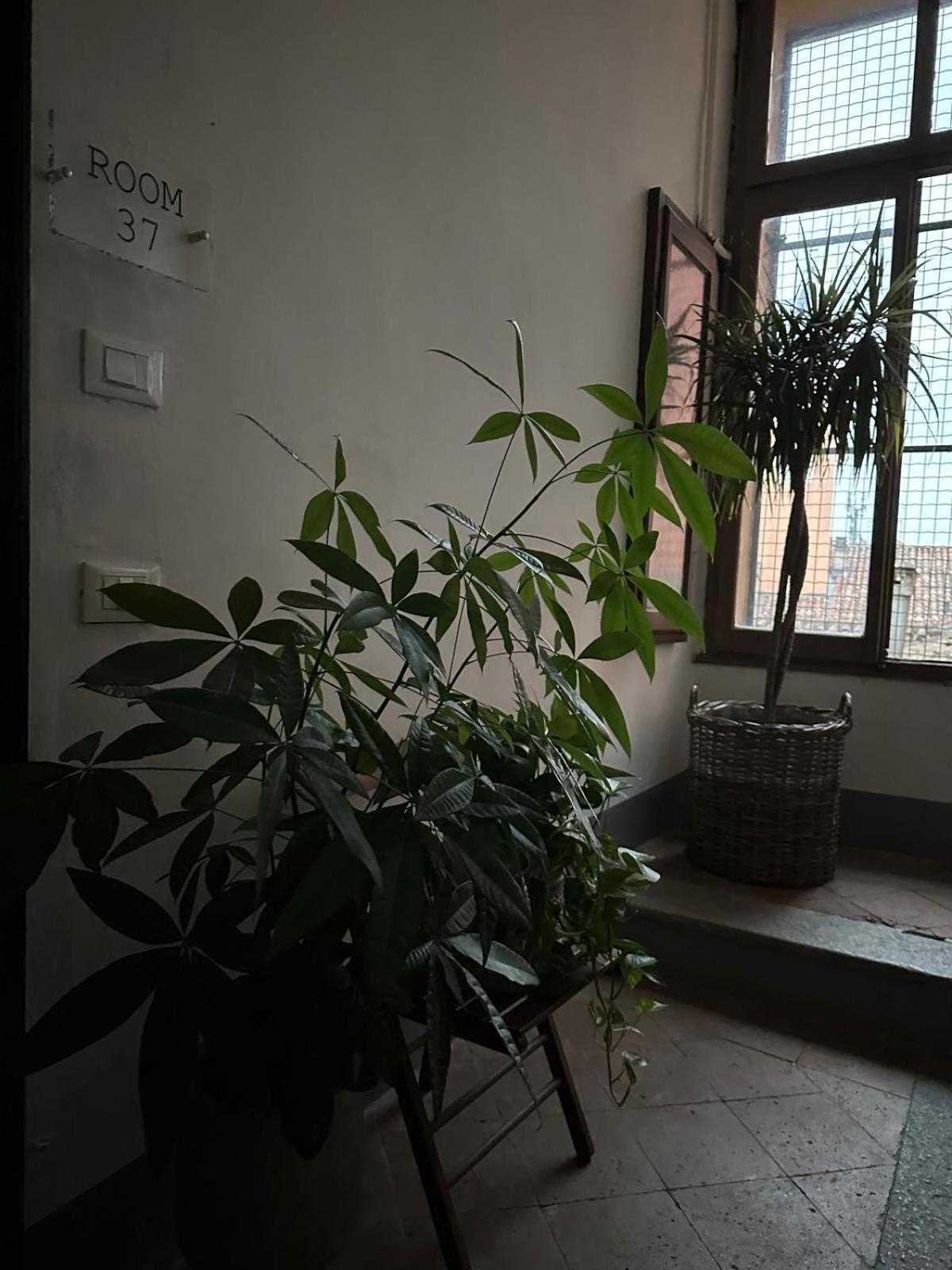 Room Manzoni 37 كريمونا المظهر الخارجي الصورة
